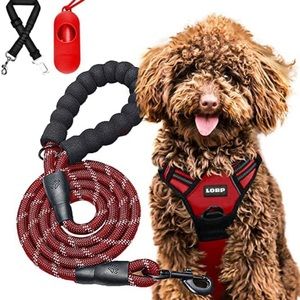 NWT no pull dog harness and leash
